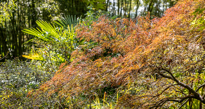 Giardino Botanico - André Heller Gardone Riviera