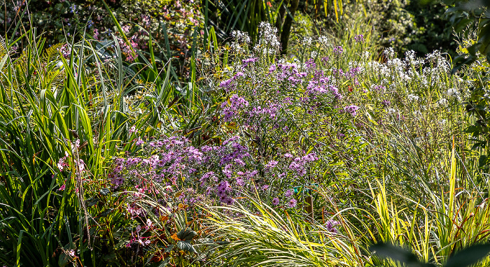 Giardino Botanico - André Heller Gardone Riviera