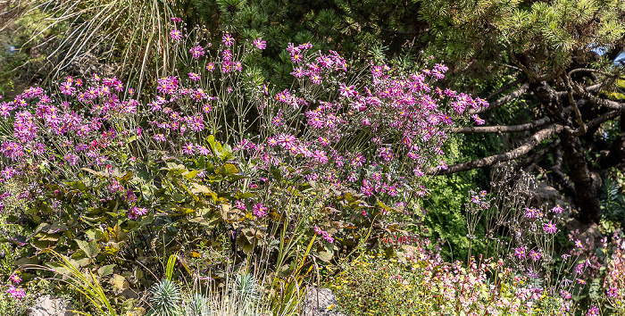 Giardino Botanico - André Heller Gardone Riviera