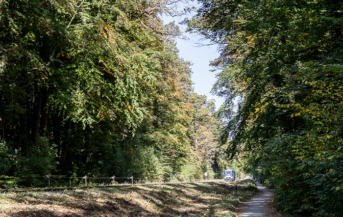 Riederau (Dießen am Ammersee) Schutzgebiet Seeholz und Seewiese: Bahnstrecke Schongau - Augsburg