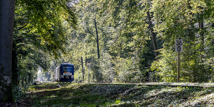 Riederau (Dießen am Ammersee) Schutzgebiet Seeholz und Seewiese: Bahnstrecke Schongau - Augsburg