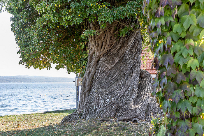 Biergarten Strandbad Utting Utting am Ammersee