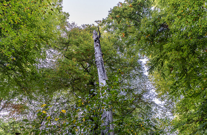 Kiental Fünfseenland