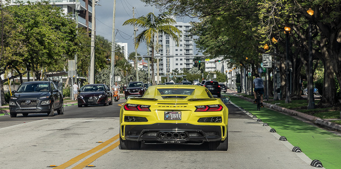 Belle Isle: Venetian Way Miami Beach