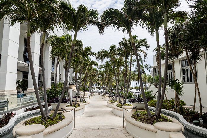 Loews Miami Beach Hotel Miami Beach