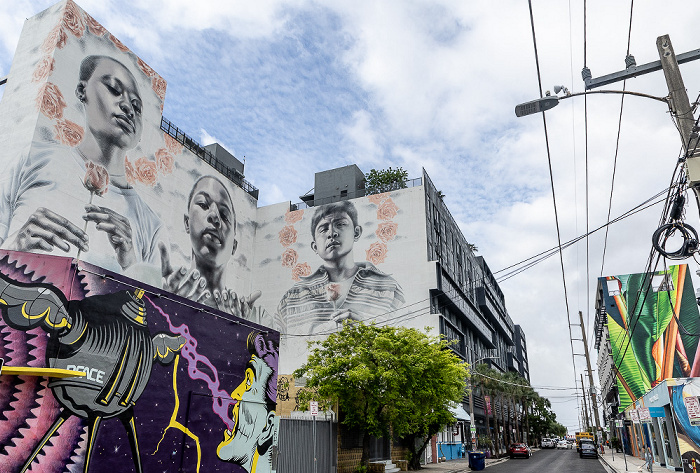 Wynwood Art District: Northwest 25th Street - Street Art Miami