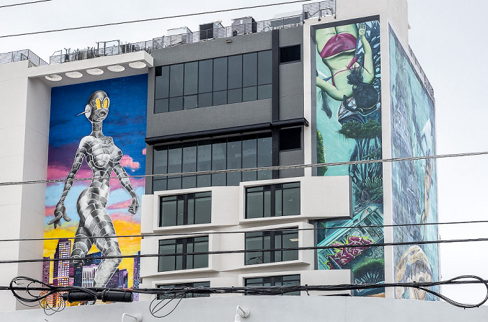 Wynwood Art District: Northwest 3rd Avenue - Street Art Miami