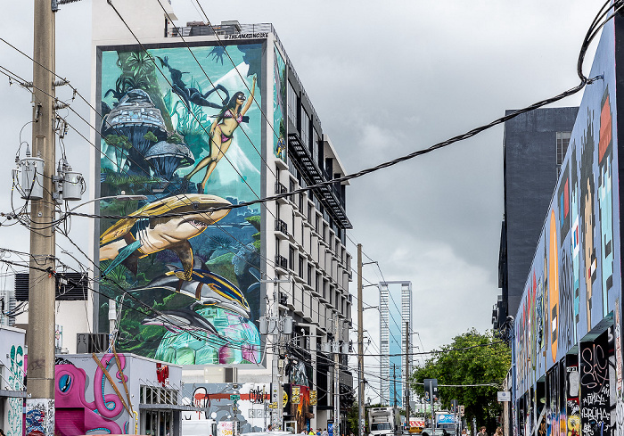 Wynwood Art District: Northwest 25th Street - Street Art Miami