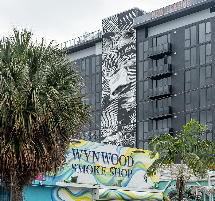 Wynwood Art District: Northwest 2nd Avenue - Street Art Miami