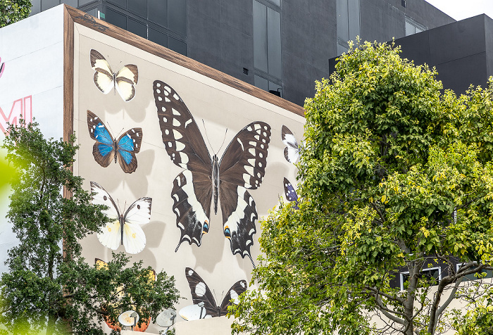 Wynwood Art District: Northwest 27th Street - Street Art Miami
