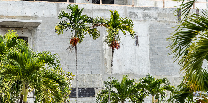 Wynwood Art District: Northwest 28th Street Miami