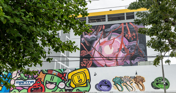 Wynwood Art District: Northwest 25th Street - Street Art Miami