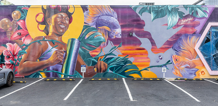 Wynwood Art District: Northwest 25th Street - Street Art Miami