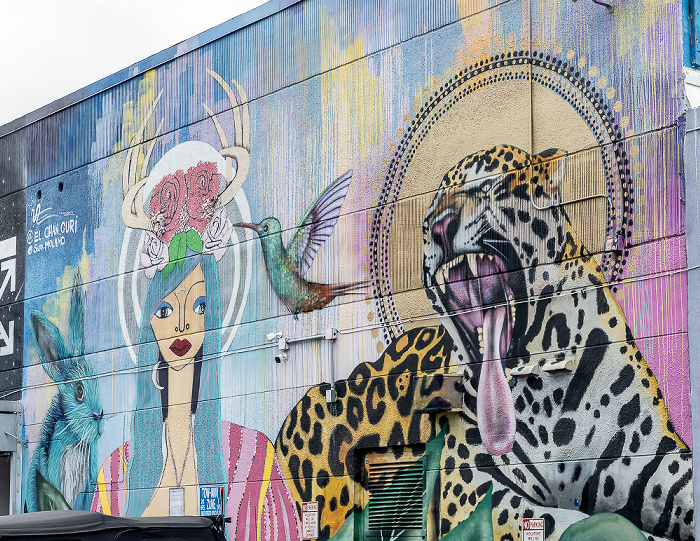 Wynwood Art District: Northwest 25th Street - Street Art Miami