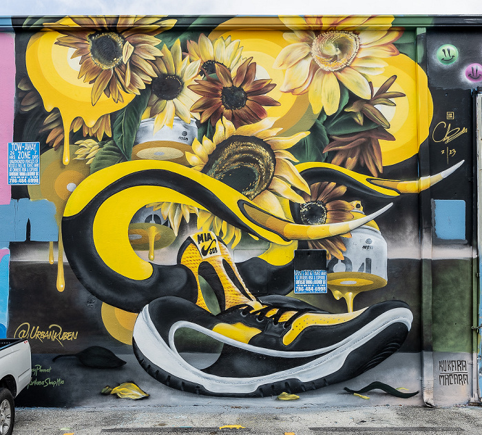 Wynwood Art District: Northwest 24th Street - Street Art Miami