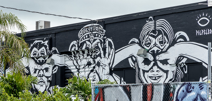 Wynwood Art District: Northwest 24th Street - Street Art Miami