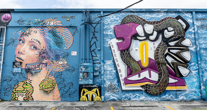 Wynwood Art District: Northwest 24th Street - Street Art Miami