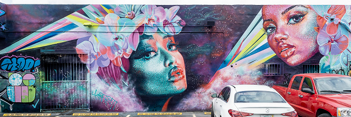 Wynwood Art District: Northwest 24th Street - Street Art Miami