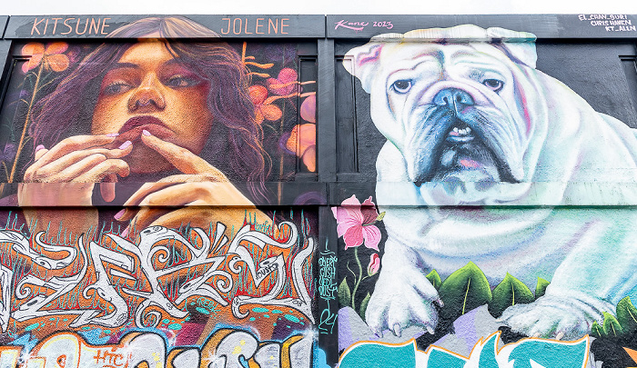 Wynwood Art District: Northwest 24th Street - Street Art Miami