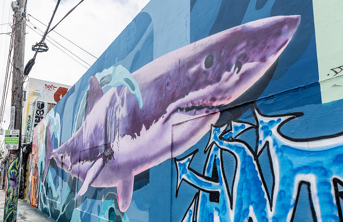 Wynwood Art District: Northwest 24th Street - Street Art Miami