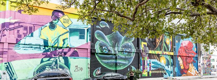 Wynwood Art District: Northwest 5th Avenue - Street Art Miami