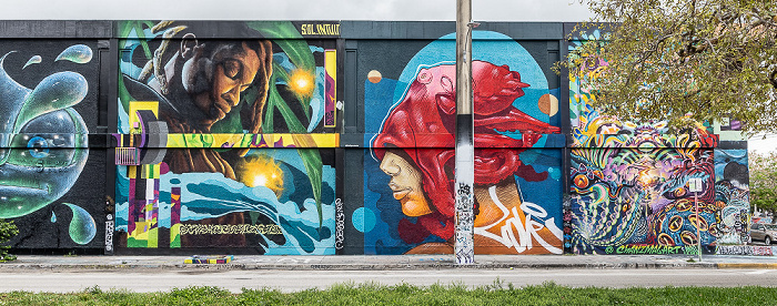 Wynwood Art District: Northwest 5th Avenue - Street Art Miami