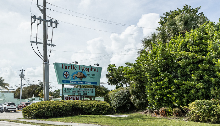 Marathon: Overseas Highway (U.S. Highway 1), Turtle Hospital Florida Keys
