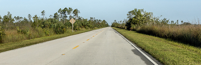 Main Park Road Everglades National Park