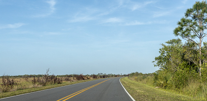 Main Park Road Everglades National Park