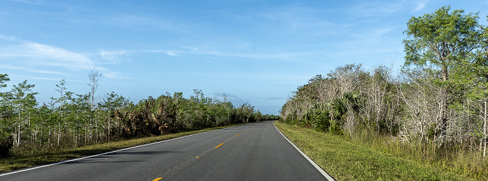 Main Park Road Everglades National Park