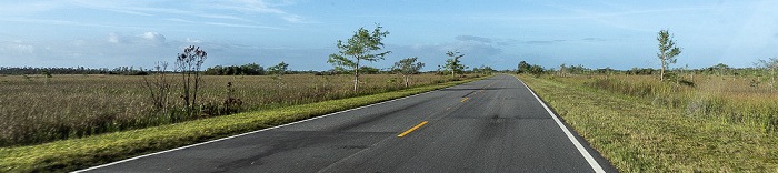 Main Park Road Everglades National Park