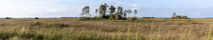 Main Park Road Everglades National Park