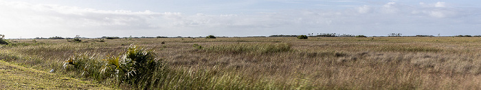 Main Park Road Everglades National Park