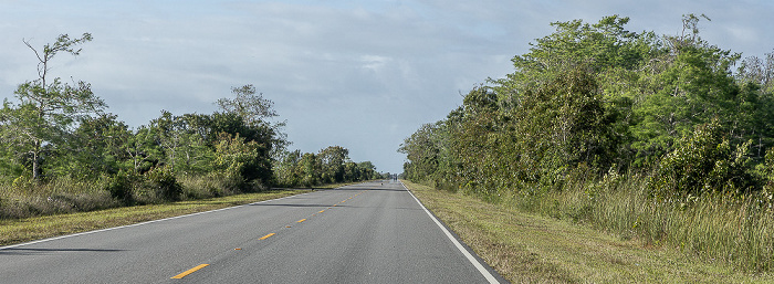 Main Park Road Everglades National Park