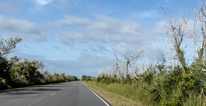 Main Park Road Everglades National Park