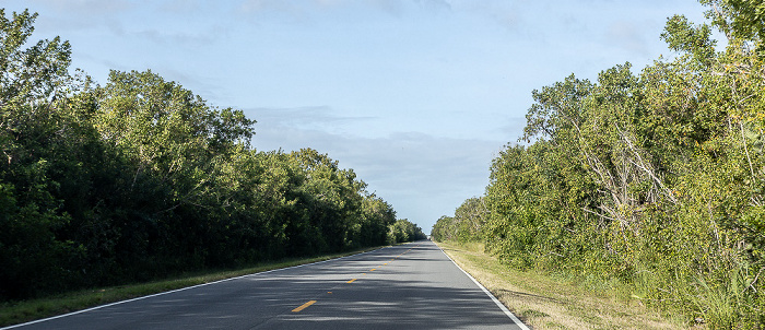 Main Park Road Everglades National Park