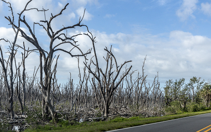 Main Park Road Everglades National Park