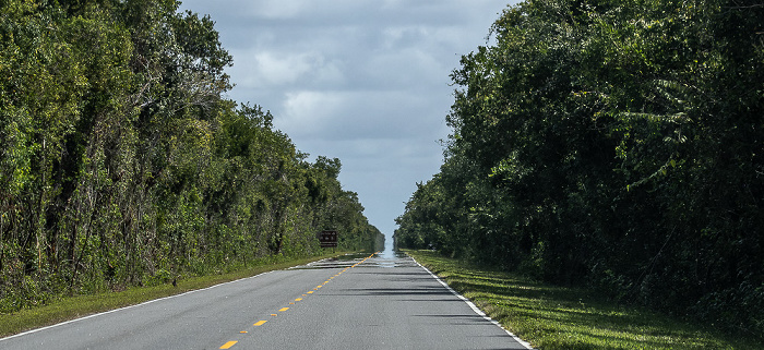 Main Park Road Everglades National Park