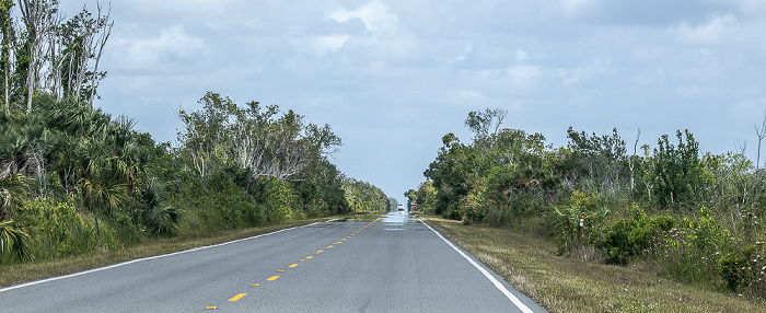 Main Park Road Everglades National Park