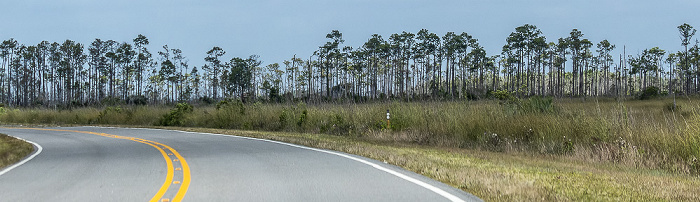 Main Park Road Everglades National Park