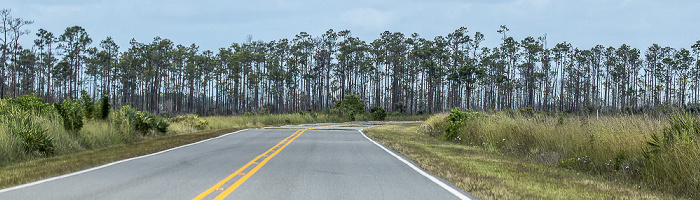 Main Park Road Everglades National Park