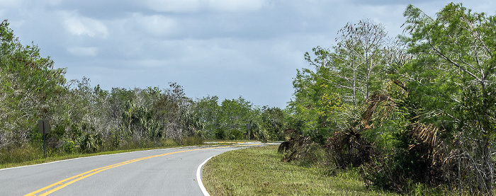 Main Park Road Everglades National Park