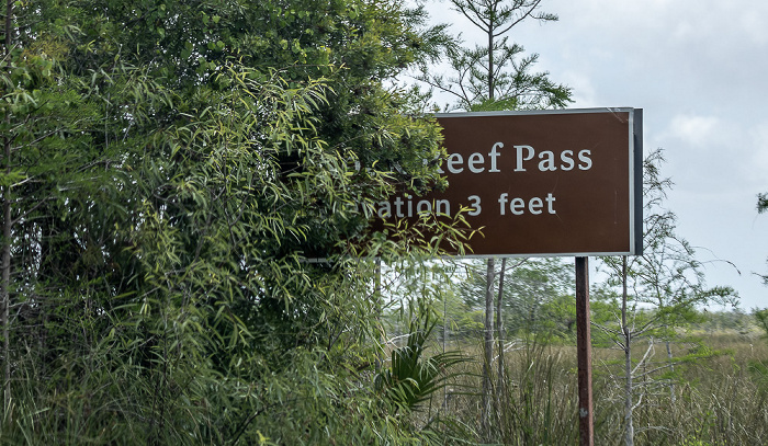 Main Park Road: Rock Reef Pass Everglades National Park