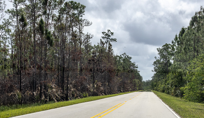 Main Park Road Everglades National Park