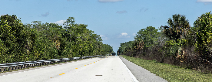 Tamiami Trail (U.S. Route 41) Big Cypress National Preserve