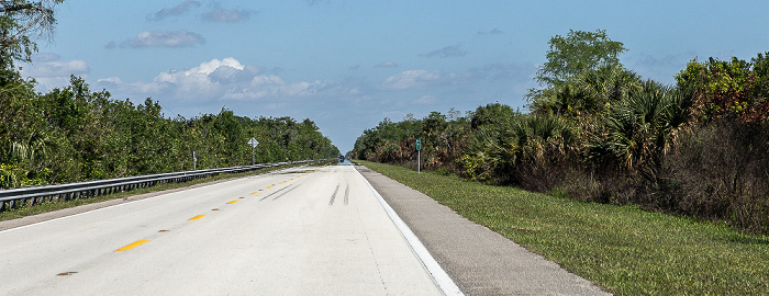 Tamiami Trail (U.S. Route 41) Big Cypress National Preserve
