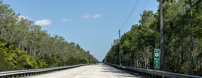 Tamiami Trail (U.S. Route 41) Big Cypress National Preserve