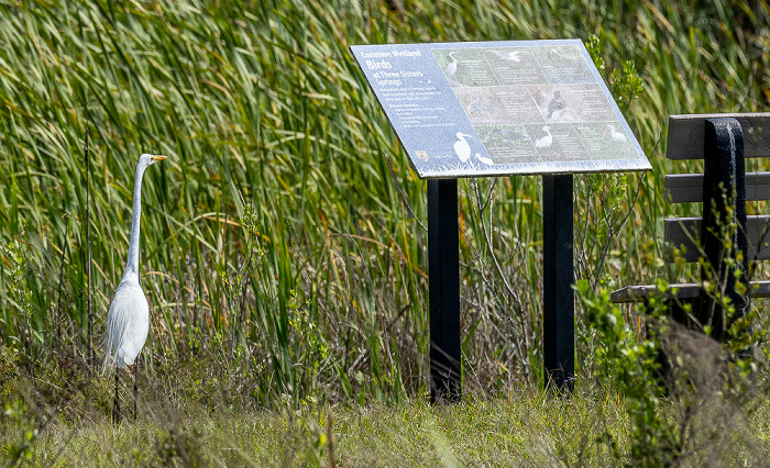 Crystal River National Wildlife Refuge