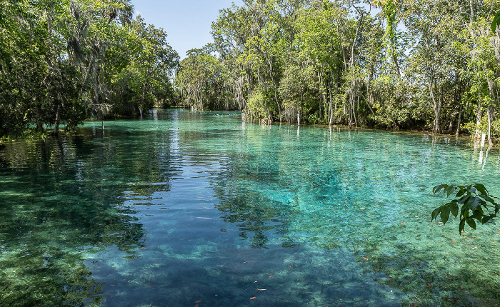 Crystal River National Wildlife Refuge: Three Sisters Springs