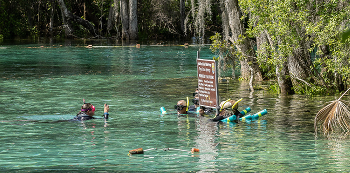 Crystal River National Wildlife Refuge: Three Sisters Springs